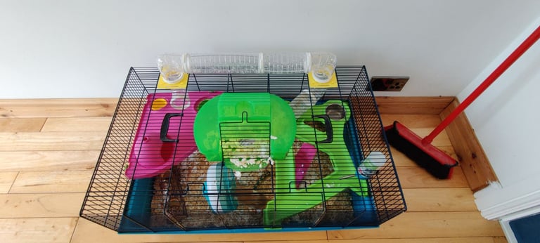 Hamster and Cage