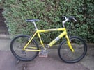 1999 Vintage Raleigh Max Aero mountain bike. Adult. Large. Size 20 inch