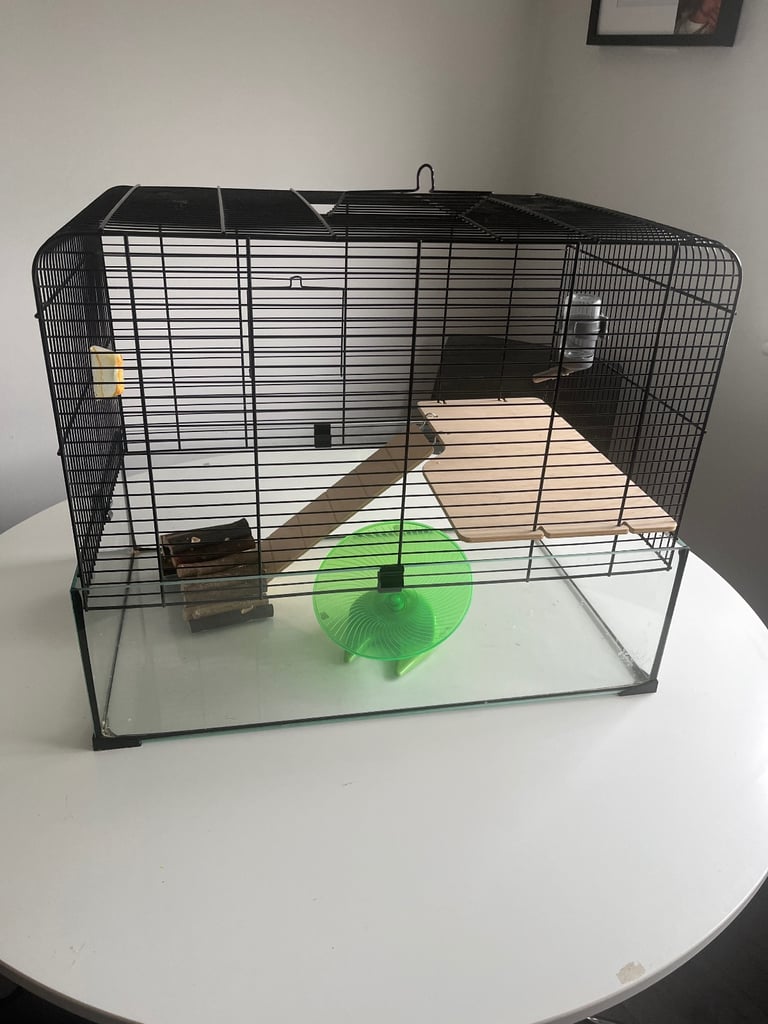 Hamster cage/glass