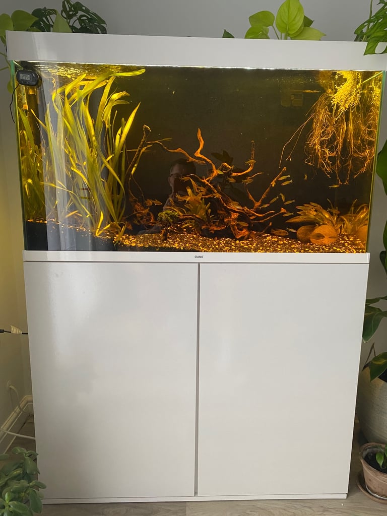 Fish tank 