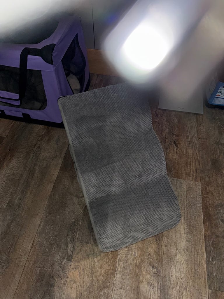 Little set of dog stairs 