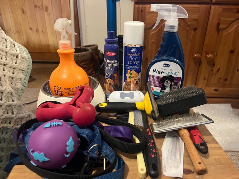 image for Dog accessories