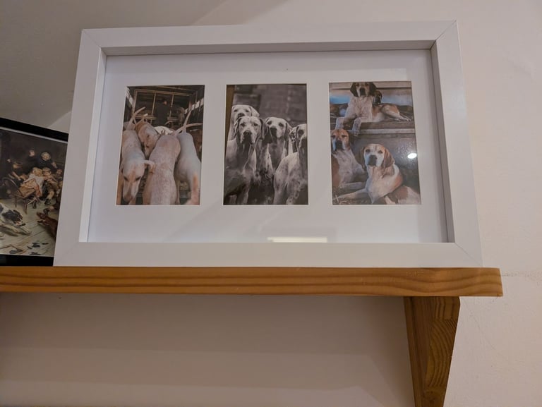 image for Three Piece Original Foxhound Fox Hunting Photographs Framed Gift