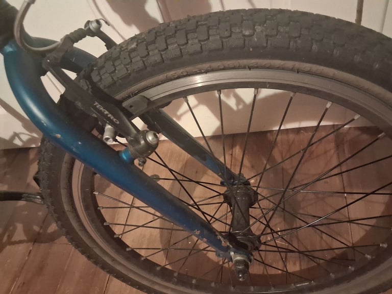 Kids Bike 20inch Pinnacle Ash