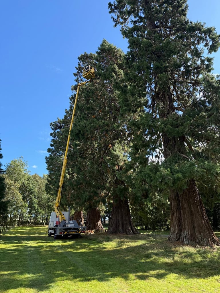 image for Cherry Picker hire