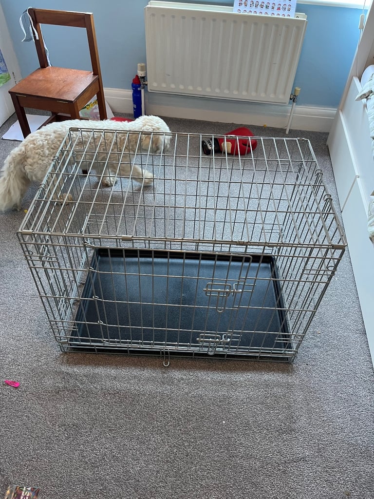 Dog crate 