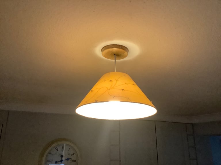 Ceiling Light Shades 