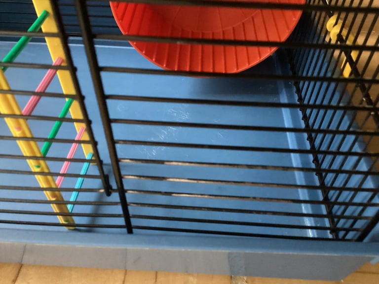 Colourful Hamster/Gerbil Cage with Accessories