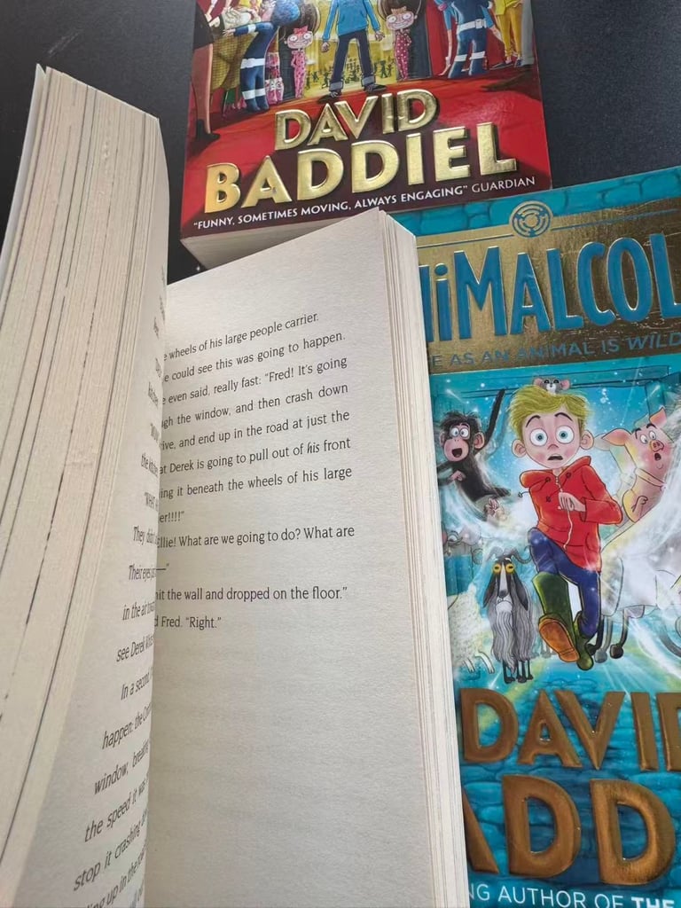 David Baddiel 3-Book Collection Set