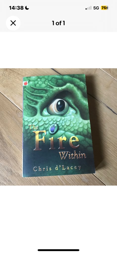 The Fire Within By Chris d'Lacey (Paperback Book)