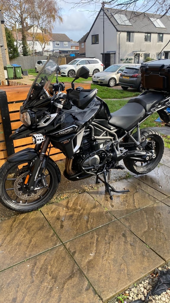 image for Triumph, TIGER, 2016, 1215 (cc)