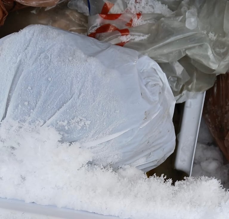 Freezer 