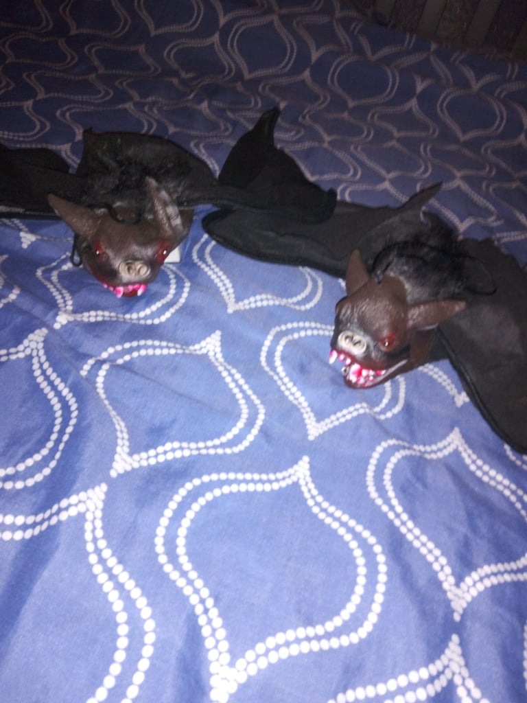 LOTS OF HALLOWEEN STUFF FOR SALE 