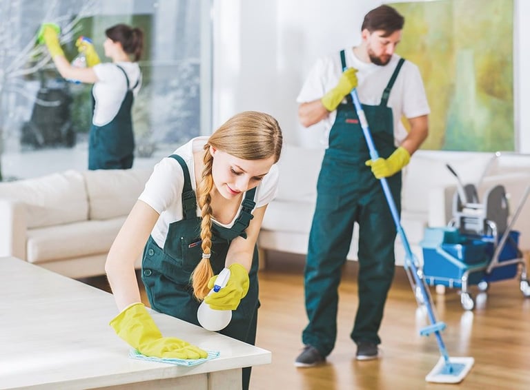 Nirvana Cleaning Services