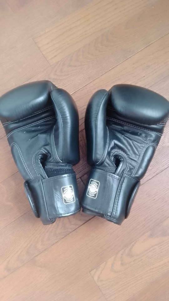 image for Twins Special 12oz Boxing Gloves