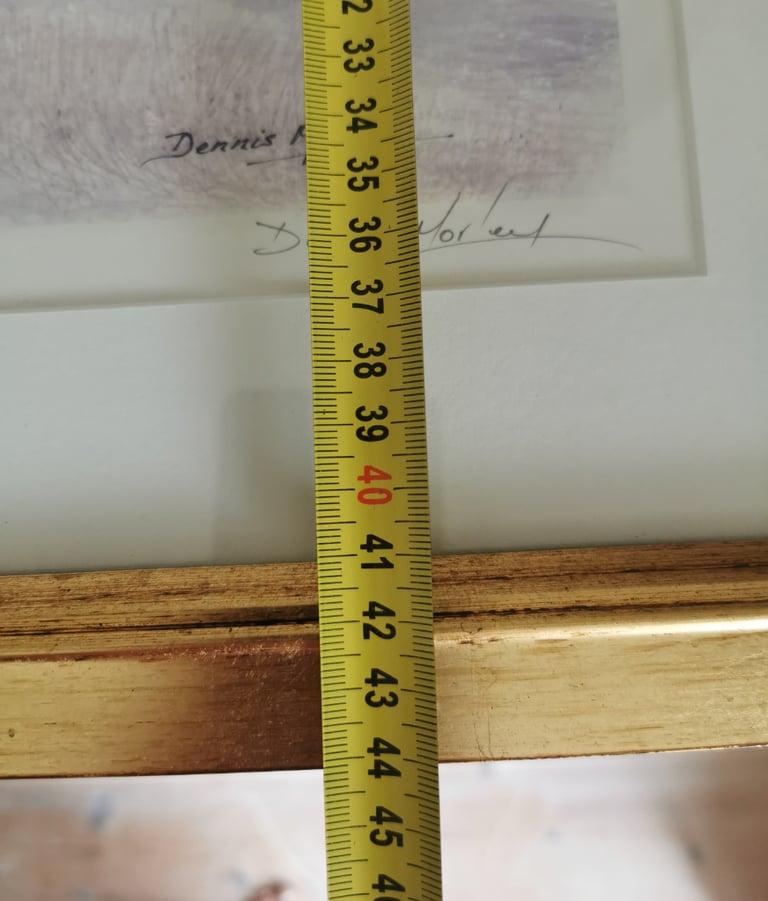 Dennis Morley Summer Glory Watercolour Framed, Signed & Numbered 