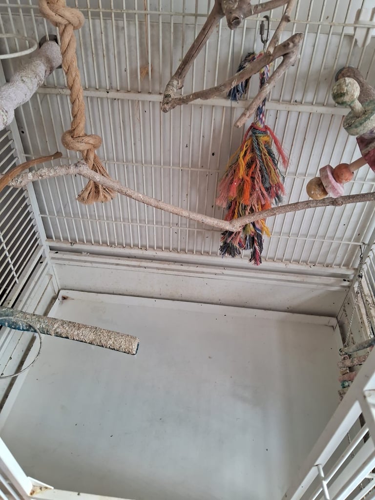 Extra large bird cage (5feet high and 2.5feet wide)