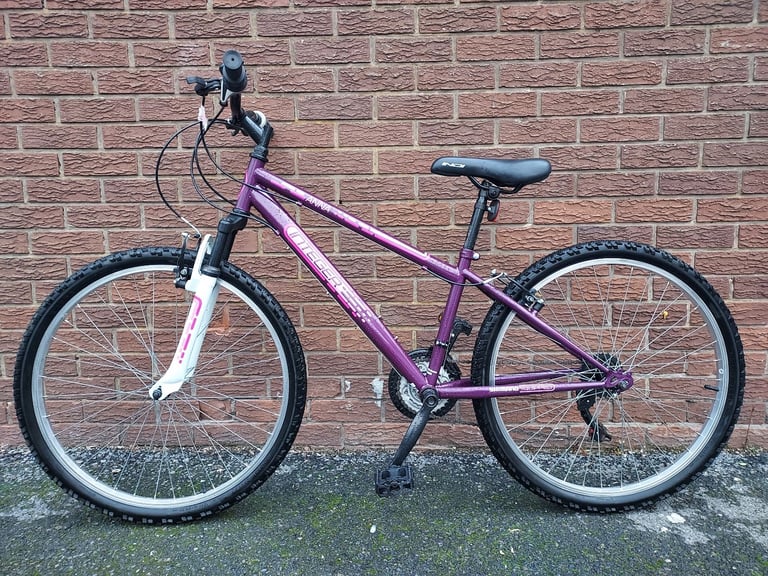 INTERGER BIKE - RBK 3766