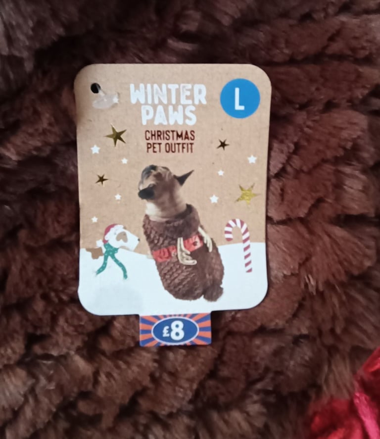 Haloween dog outfits