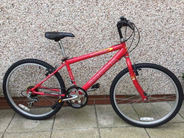 Child s Mountain Ridge Fantom Bike in excellent condition in