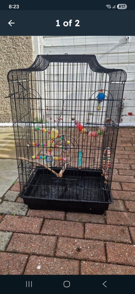 Bird cage with accessories 