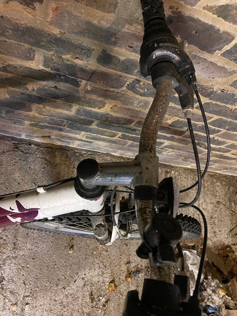 Bike (free)