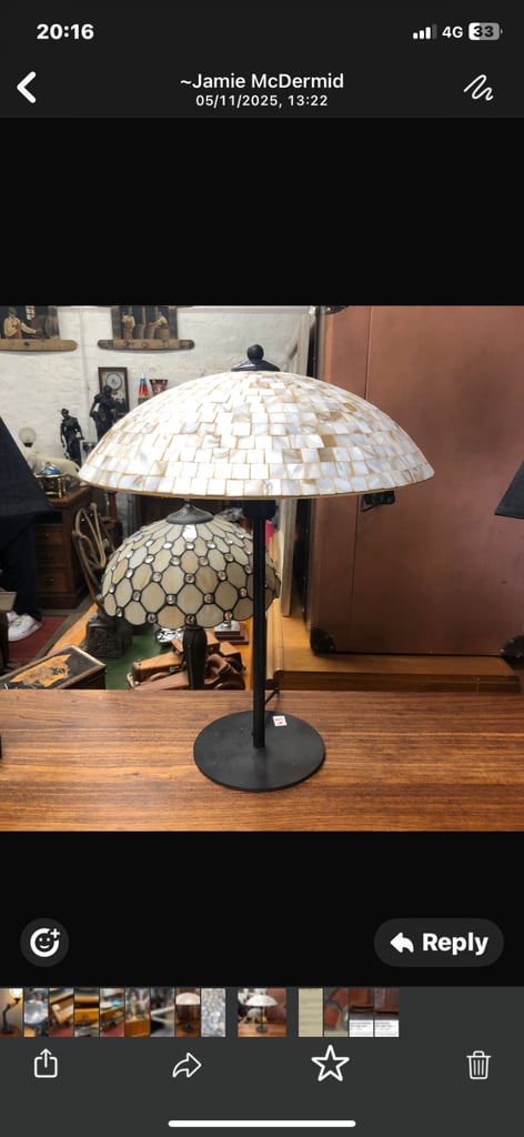 Genuine sea shell lamp 