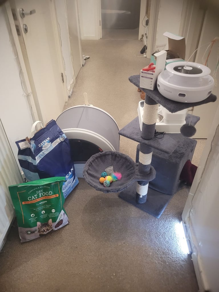 Cat accessory bundle