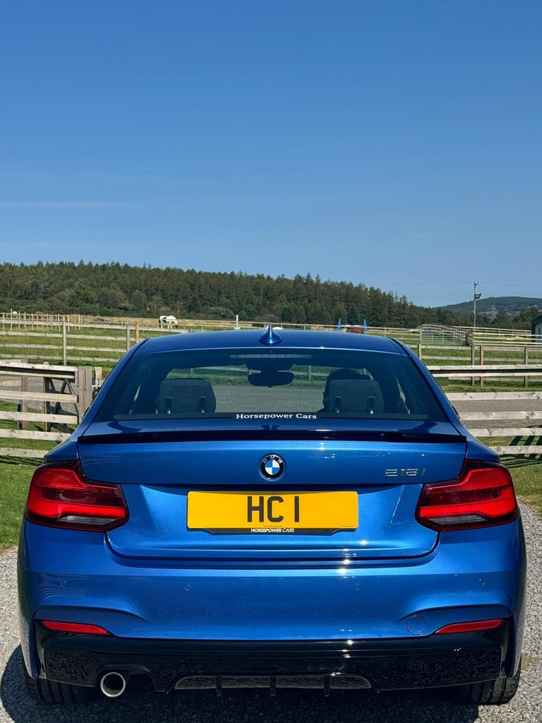 BMW 2 SERIES 1.5 218i M Sport Coupe 2018