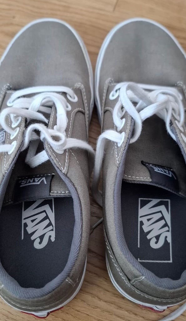 Vans Winston trainers 