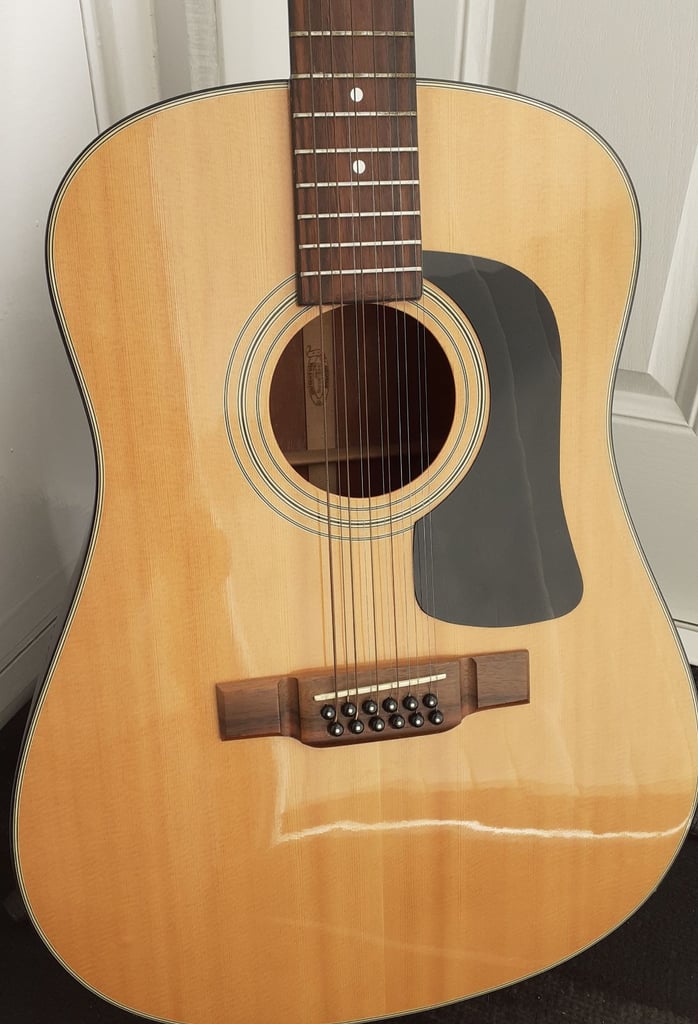 Washburn D-12-12N  12 String Acoustic guitar 