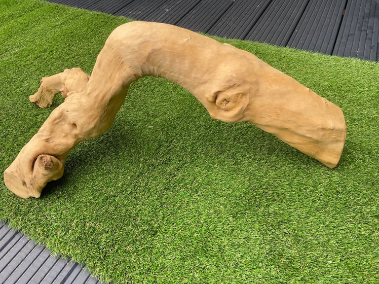 Java wooden branch