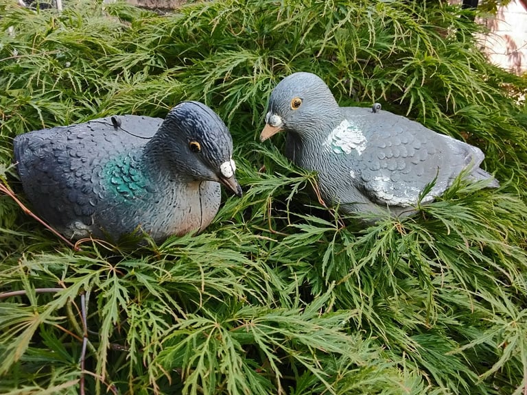 image for Pair of grey plastic vintage decoy pigeons one has a crack in the back but doesn't effect it