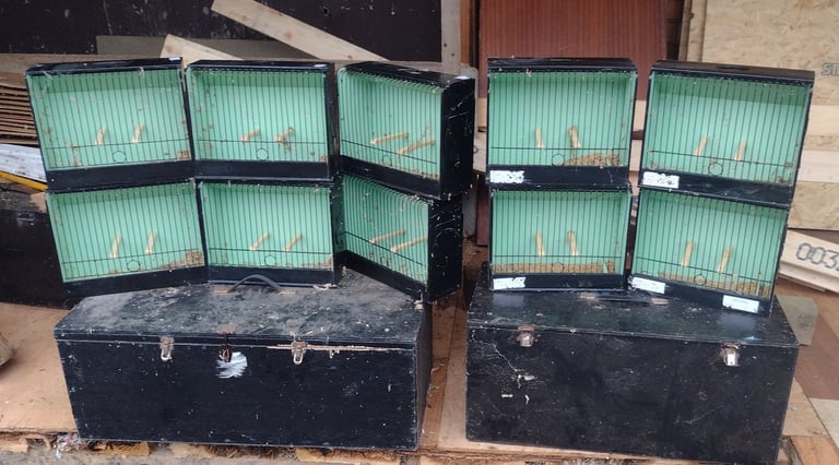 Gloster Canary show cages 