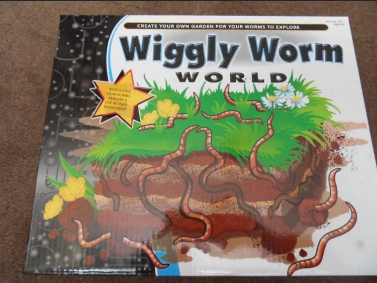 Wiggly Worm World (Brand New & Sealed)
