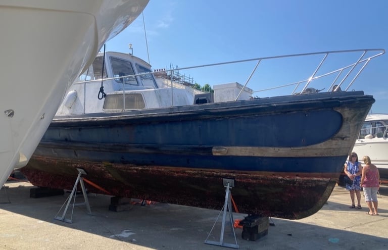 boats for sale 