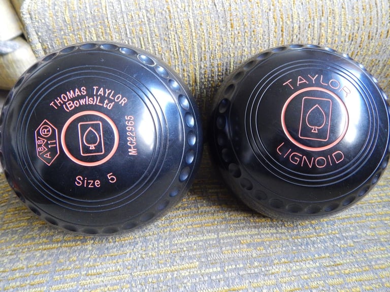 image for Pair of Bowls with Case