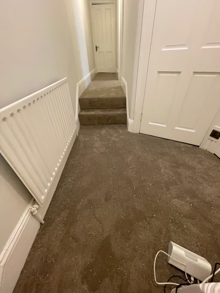 Carpet fitting and supply 