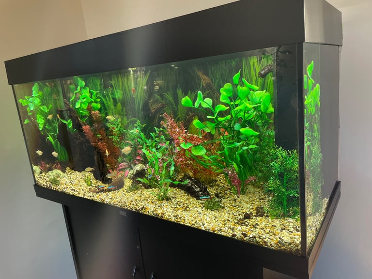Jewel Rio 180 tank and cabinet and all accessories 