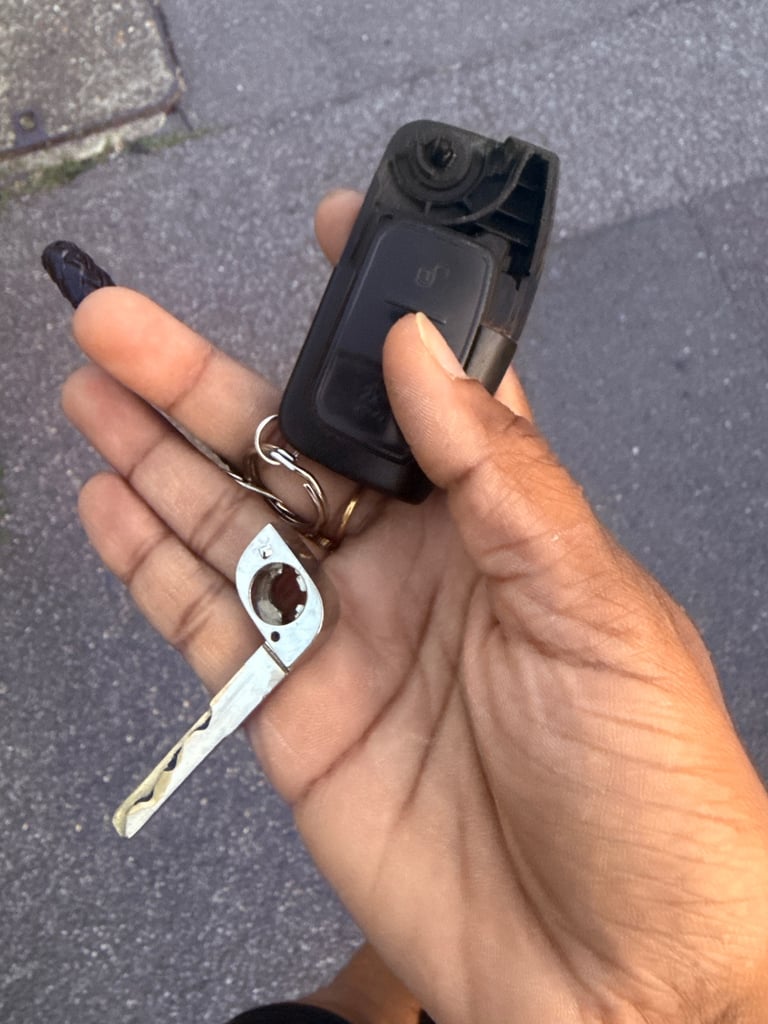 Emergency locksmith service for domestic and auto at reasonable price 