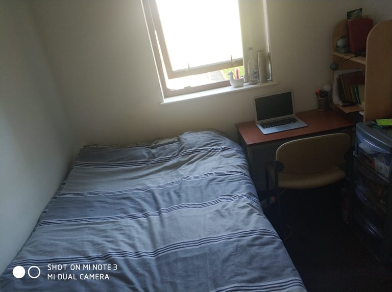 Single room available 