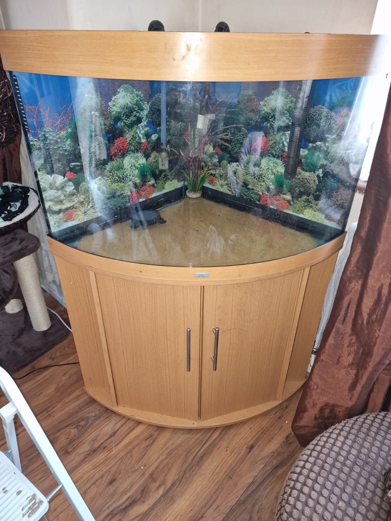 Topic fish tank £250.00
