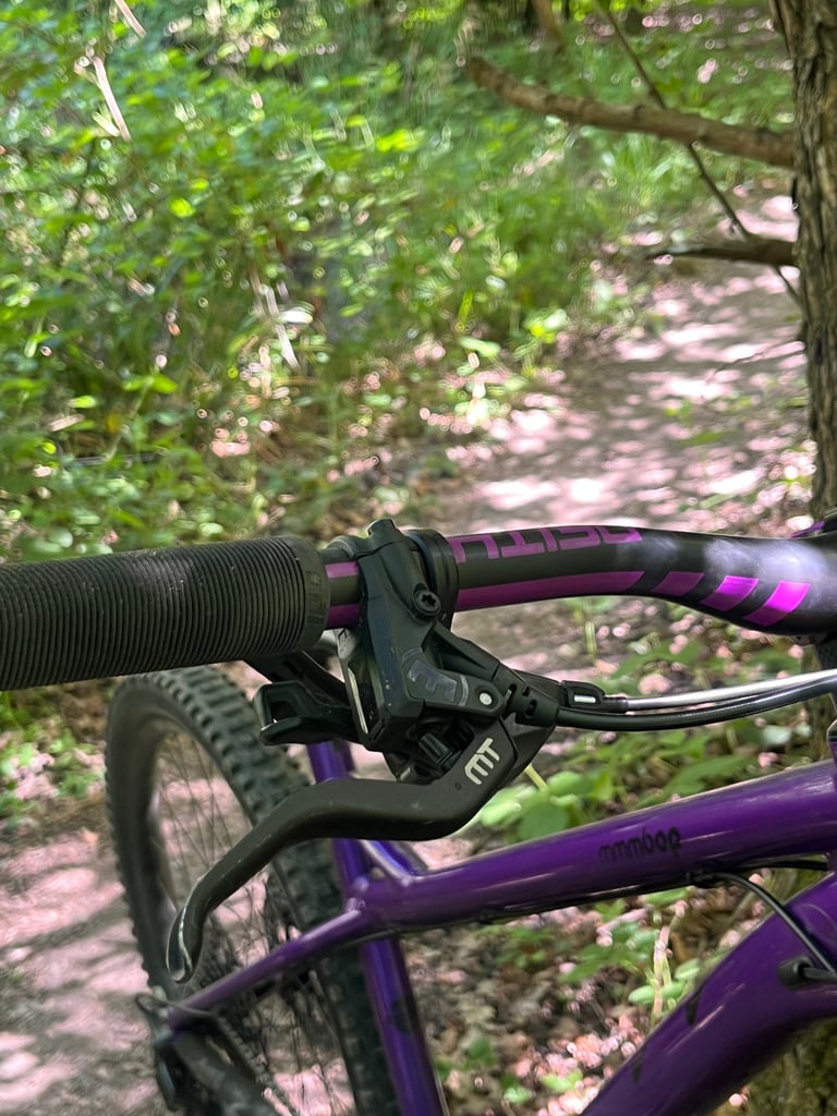 Custom Ragley mmmbop