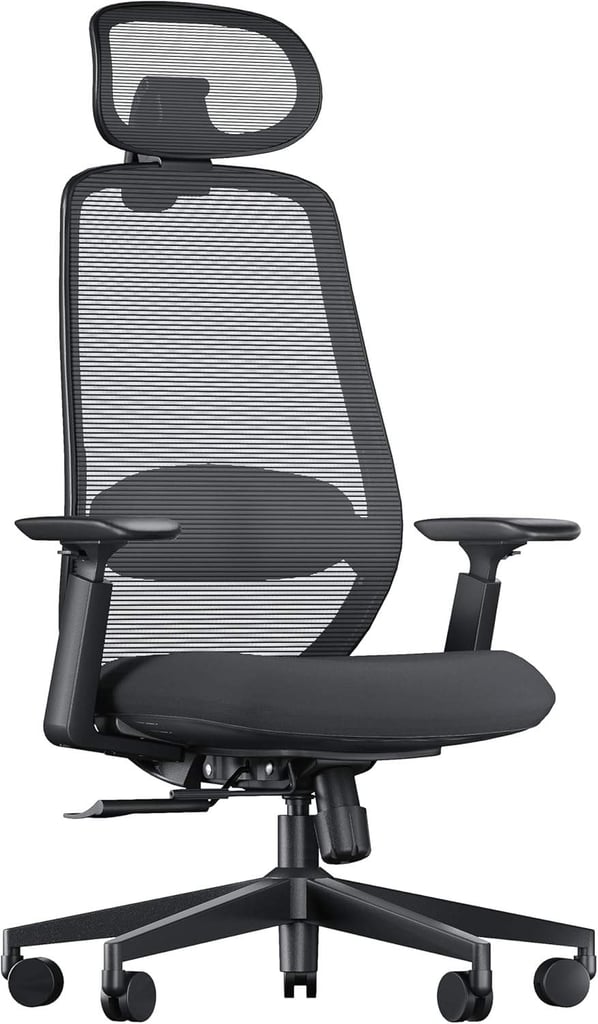 image for ProtoArc EC200 Ergonomic Mesh Office Chair (Brand New)