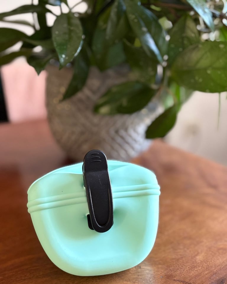 Green Silicone Dogs Treat Pouch