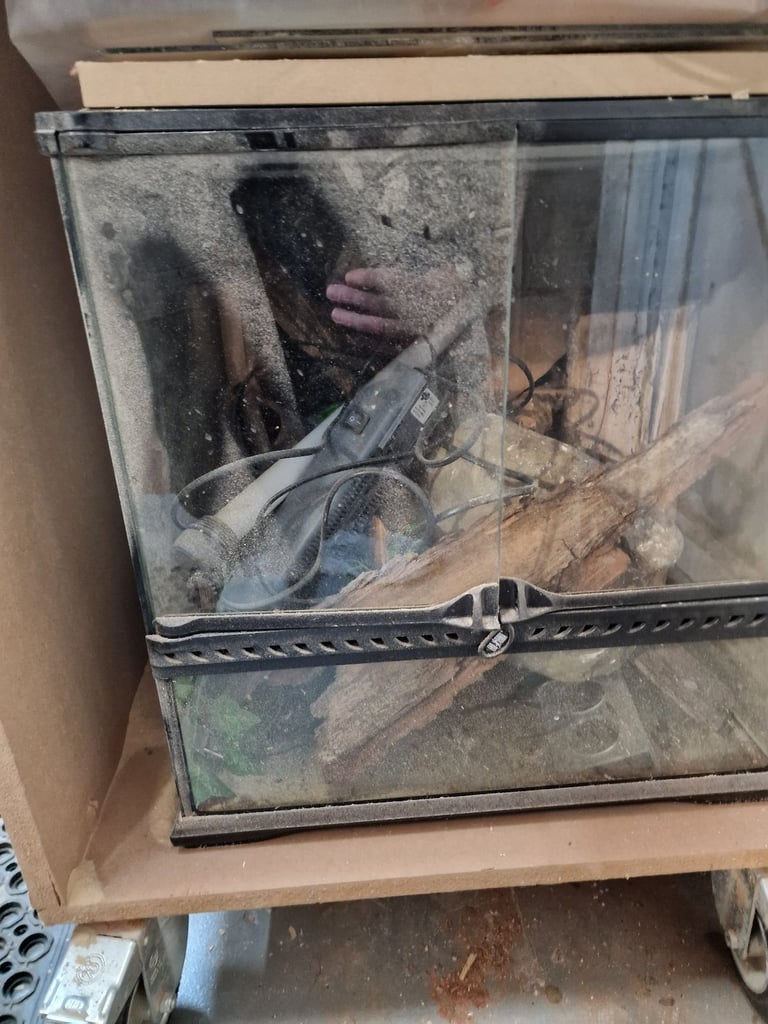 Vivarium and accessories 