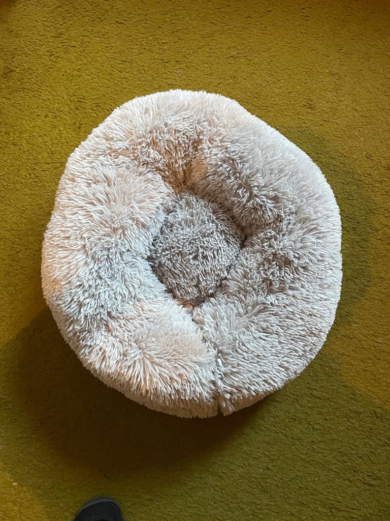 Cat bed