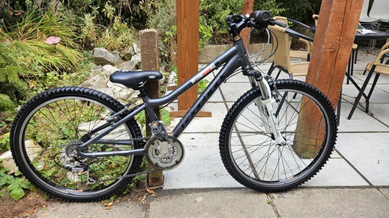 image for Ridgeback Kids Mountain Bike Serviced 