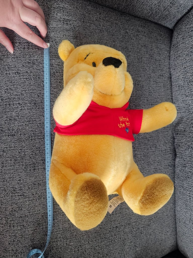 Disney Winnie the Pooh soft toy plush teddy new with tags