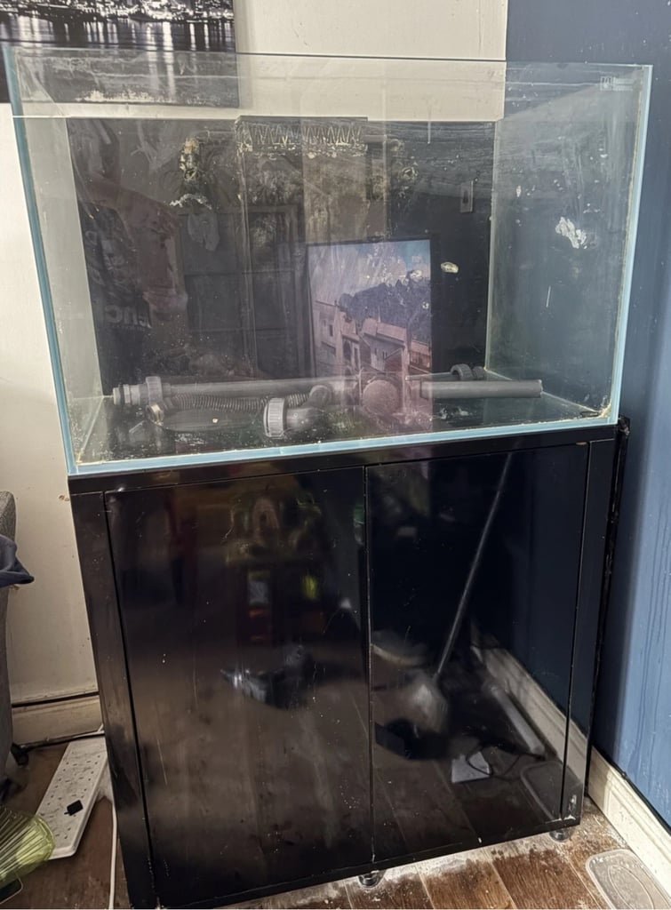L’aquarium 2.0 370l fish tank